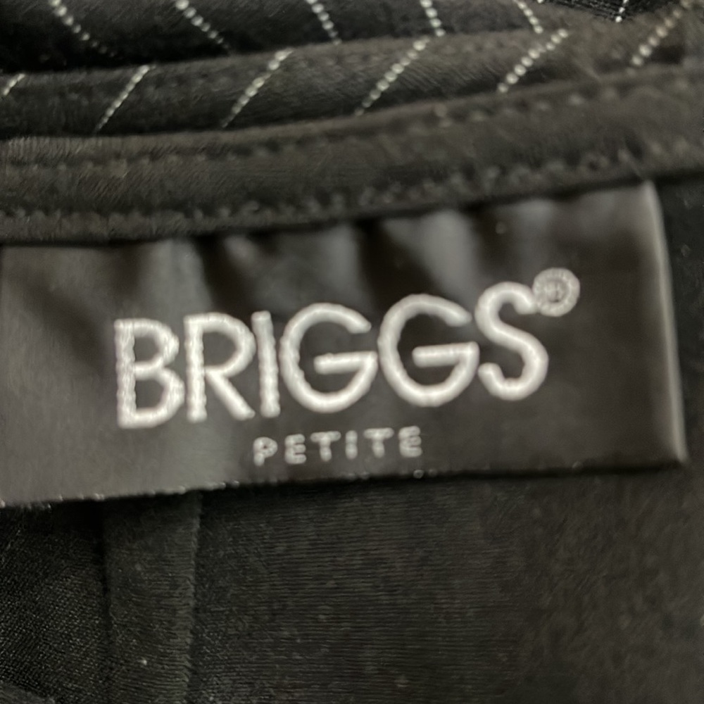 BRIGGS NEW YORK Skirt size 4P - Picture 3 of 5